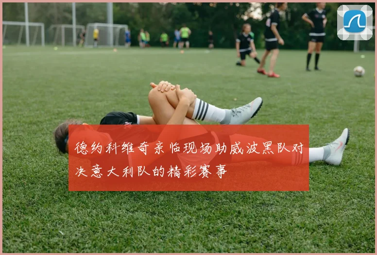 德约科维奇亲临现场助威波黑队对决意大利队的精彩赛事