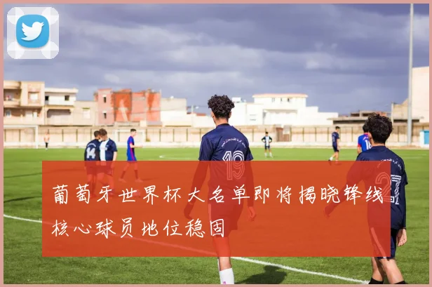 葡萄牙世界杯大名单即将揭晓锋线核心球员地位稳固