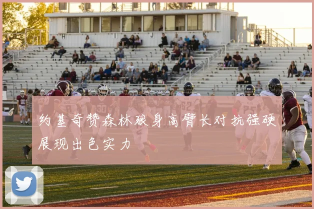 约基奇赞森林狼身高臂长对抗强硬展现出色实力